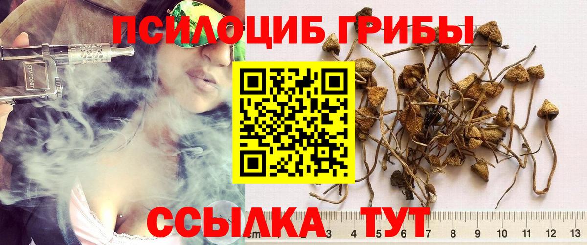 Псилоцибиновые грибы мицелий Кизилюрт
