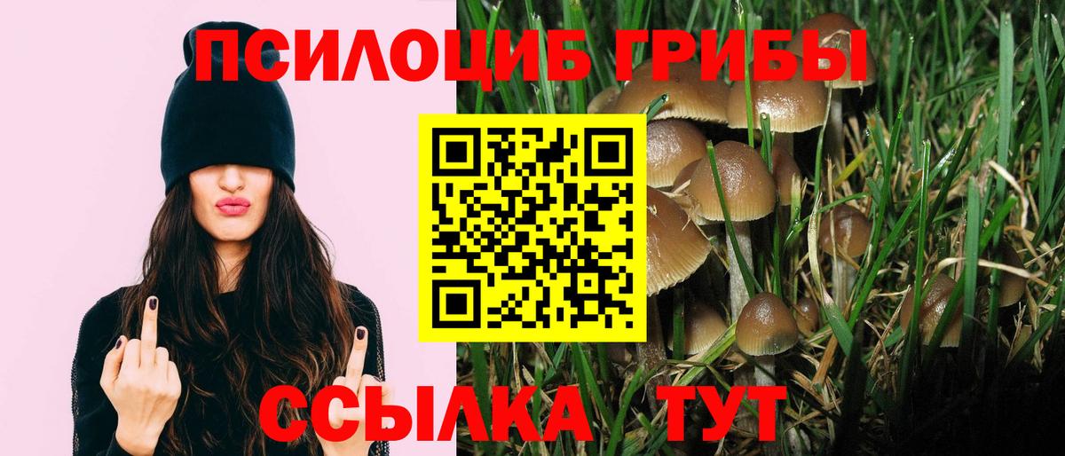Кизилюрт  где найти наркотики  Вход с VPN  Галлюциногенные грибы ЛСД  Псилоцибиновые грибы Psilocybine cubensis 